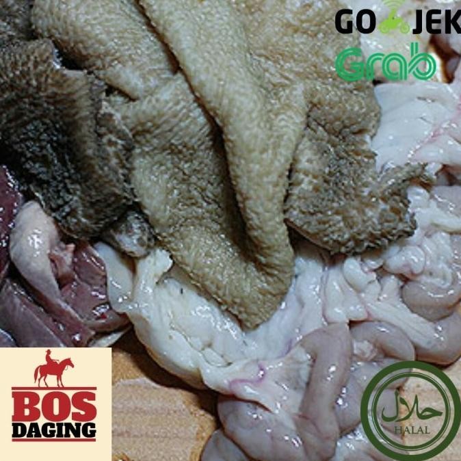 

Jeroan kambing muda 1 kg dijamin fresh segar