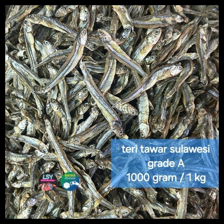 

terbaru !!! teri tawar h super 1000gram / 1kg ready