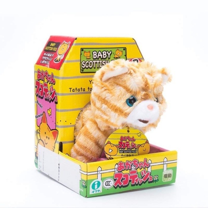 

IWAYA BONEKA PLUSH KUCING BABY SCOTTISH FOLD