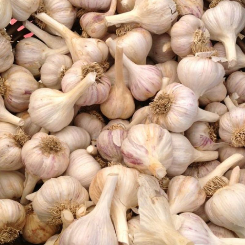 

BAWANG KATING KERING UNTUK BUMBU MASAKAN