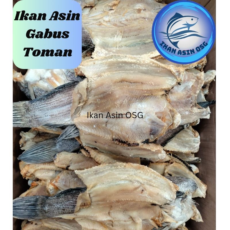 

ikan asin gabus kolam size besar 500gr