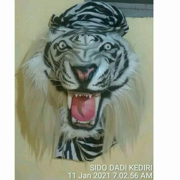 Kepala Macan Kepala Harimau Topeng Macan Topeng Gedrok Topeng Ganong