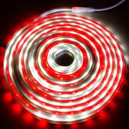 MURAH LAMPU SELANG RGB & MERAH PUTIH / WARNA WARNI/LAMPU STRIP RGB/ TUMBLR SELANG  /LAMPU NATAL MERA
