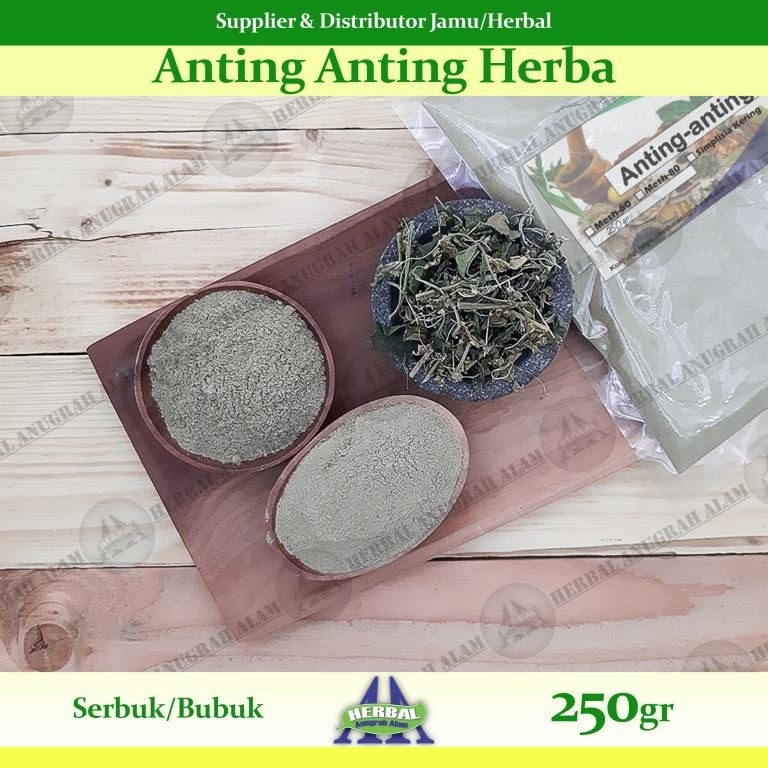 Herba Anting Anting (Bubuk) 250Gr | Acalypha Indica | Lateng Putih - 100% Murni #Herbal