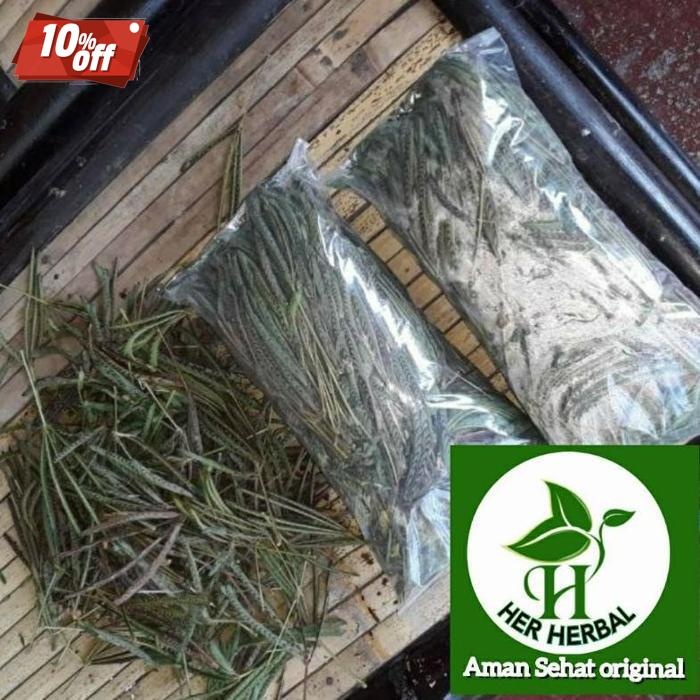 

Paling Laris Daun Putri Malu Segar Daun Herbal