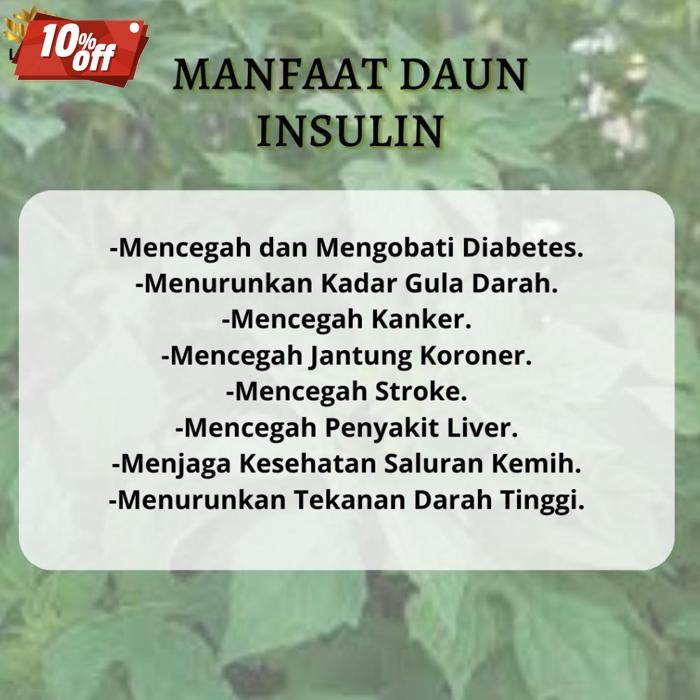 

Paket Daun Insulin Kering - Herbal Untuk Diabetes Daun Herbal Alami