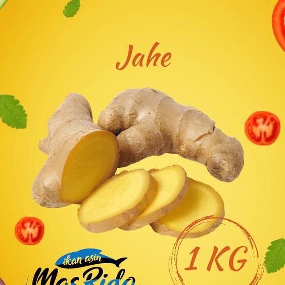 

Jahe Putih Gajah Segar Fresh Ginger Alitas Harga