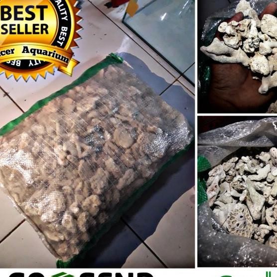 

Karang Jahe Karungan (Kurang Lebih 6Kg)