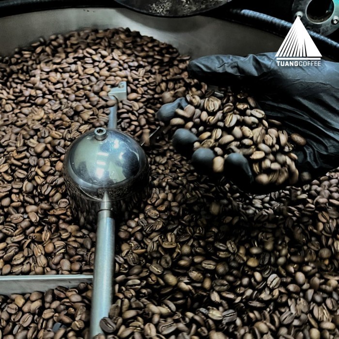 

Roasted Bean Primo Blend Tuang Coffee (Arabica Dan Robusta) 250Gr