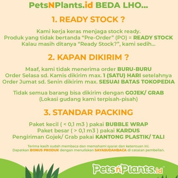 Kandang Hamster Akrilik 2 Tingkat Lengkap Import Pnp Crystal Clear