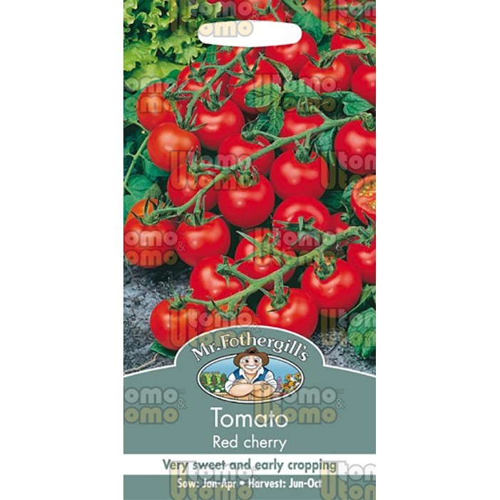 Benih Sayuran Tomato Red Cherry MF.Fothergill's