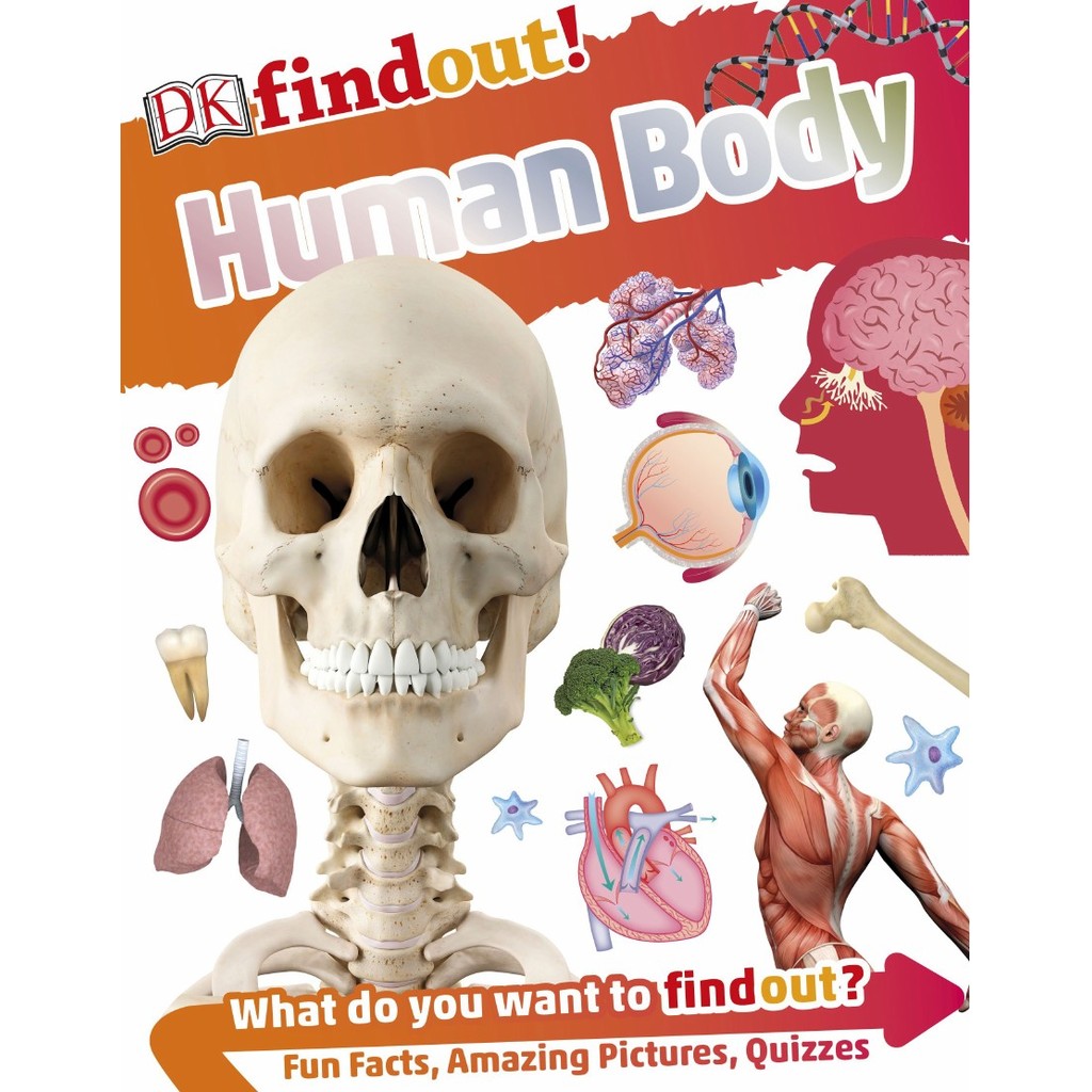 

DK findout! - Human Body ( D )