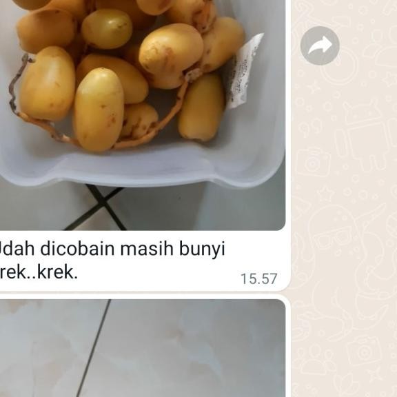 

Kurma Muda Fresh Mengkel Bisa Untuk Prol