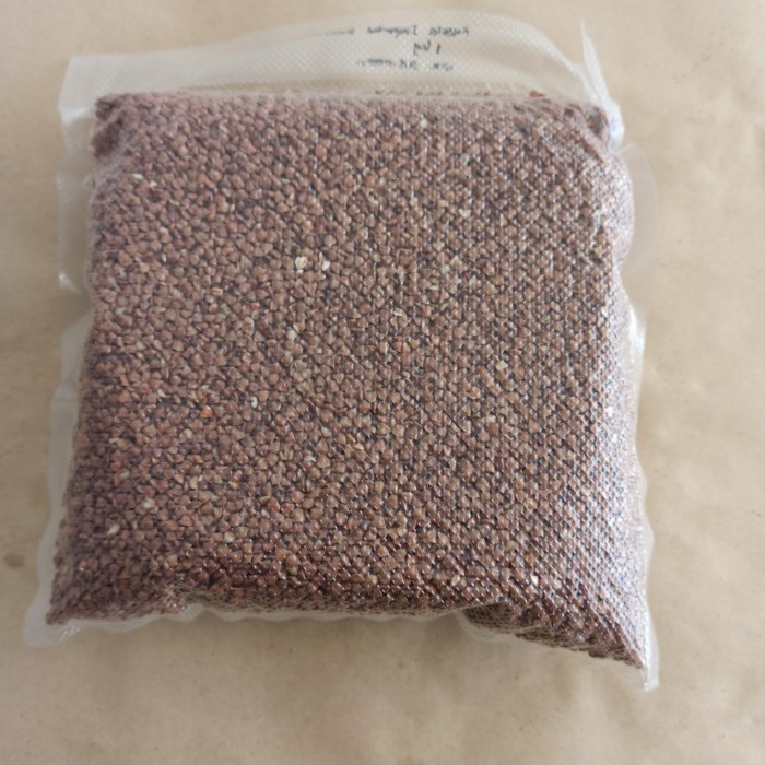 

PTC Roasted Buckwheat/Gretchka (Russian) TERJAMIN