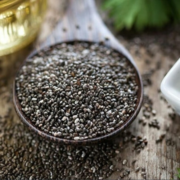 

chia seed mexico organik 5 kg