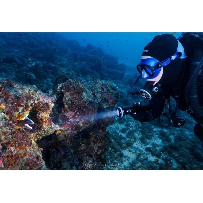 Masih Xtar Senter Selam / Xtar Flashlight Collection / Senter Diving All Varian