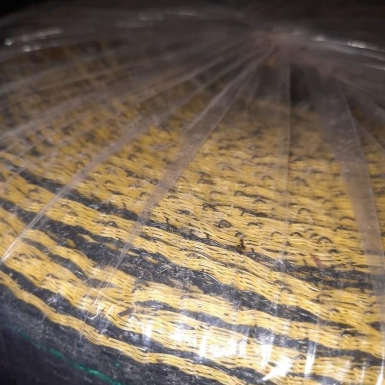 

Spesial Promo Sale Ramadhan Jaring Waring Pagar 1.2 X 100 Meter Bahan Original Jaring Pelindung Tanaman Waring Pagar Ayam Waring Serbaguna Eq-77