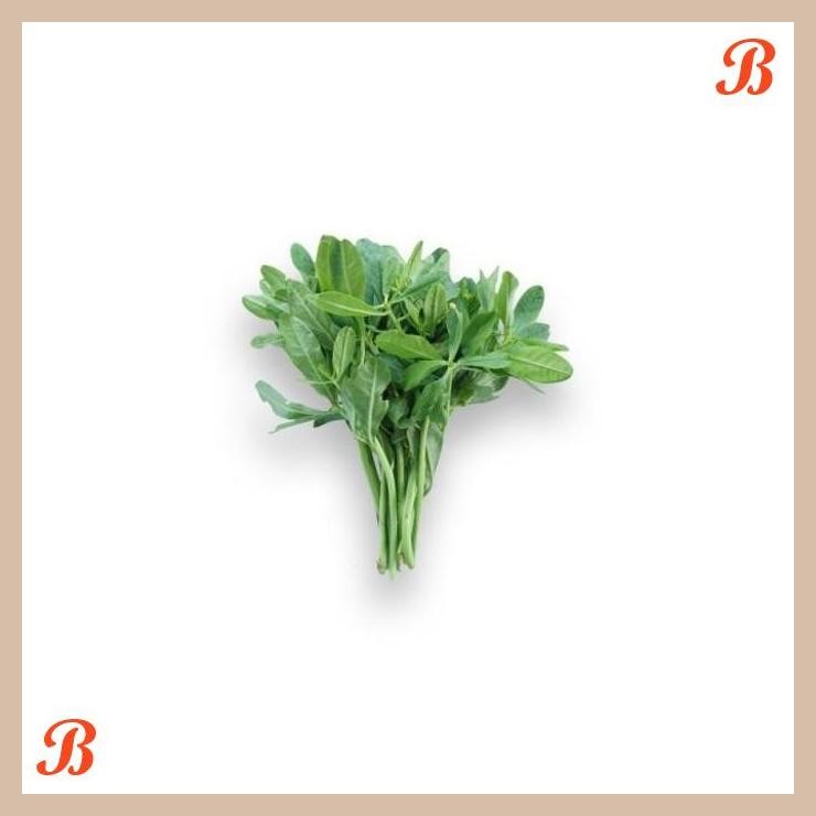 

| NN | DAUN GINGSENG ORGANIK 200GR
