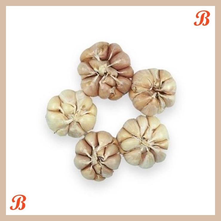 

| NN | BAWANG PUTIH ORGANIK 500GR