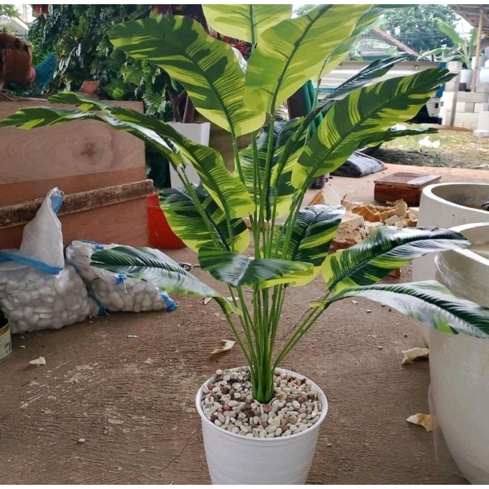 TANAMAN HIAS TALES JUMBO X18 POHON HIAS/TANAMAN PISANG/TANAMAN PALEM