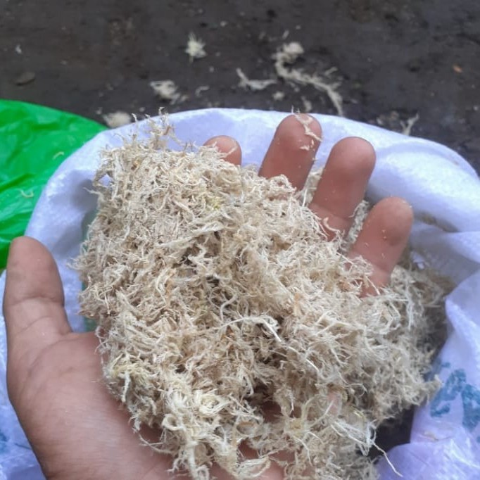 SPHAGNUM MOSS PREMIUM