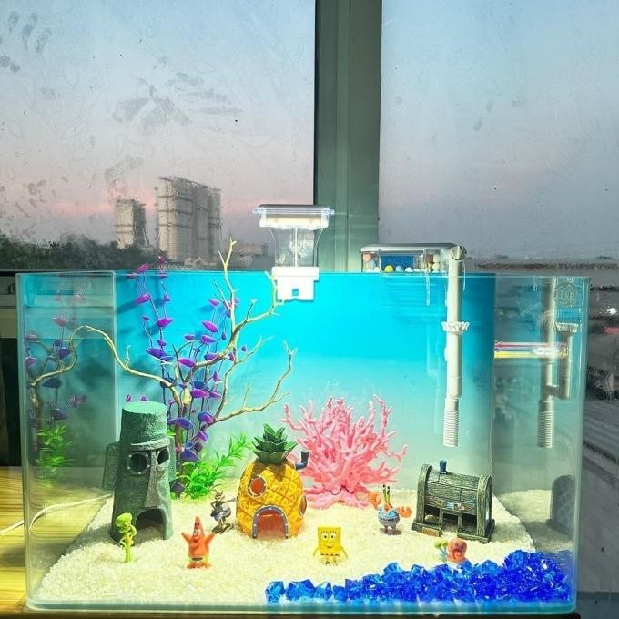 SBT PAKET AQUARIUM SPONGEBOB 50CM / AQUARIUM MELENGKUNG / AQUASCAPE / AQUARIUM BENDING