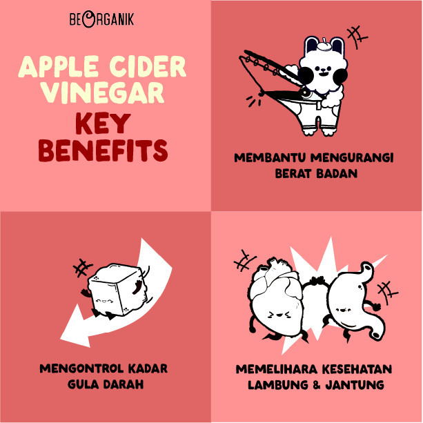 

Beorganik Cider Vinegar / Cuka Apel Organik With The Mother