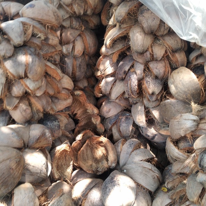 

kulit Sabut Kelapa utuh / sabut Kelapa kering 1 karung 10 kg
