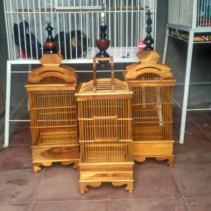 Kandang burung Pleci pernisan kayu jati GT