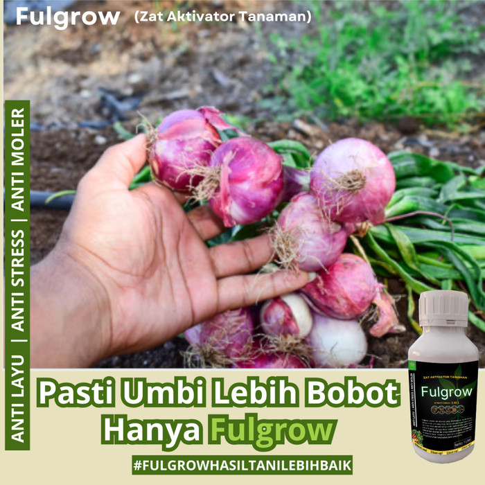 Fulgrow Zat Aktivator Tanaman Pupuk Anti Stres Anti Keriting Daun Fulka Ambition