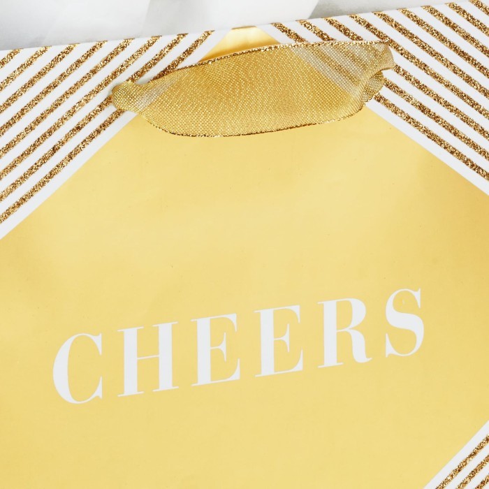 

Paper Bag Medium- Gift Bag- Hallmark- Cheers On Gold Bag With Tissue Terlaris