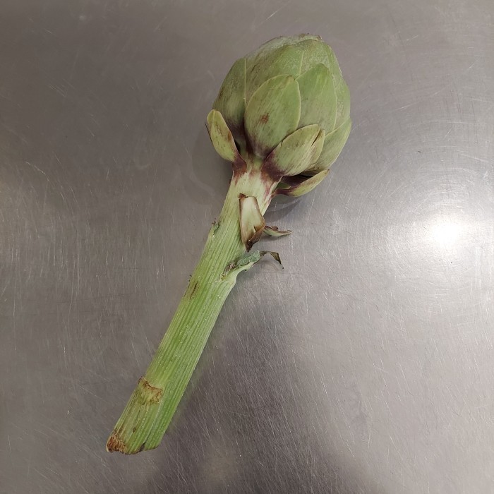 

Artichoke Aust Fresh 1 Buah Terbaru