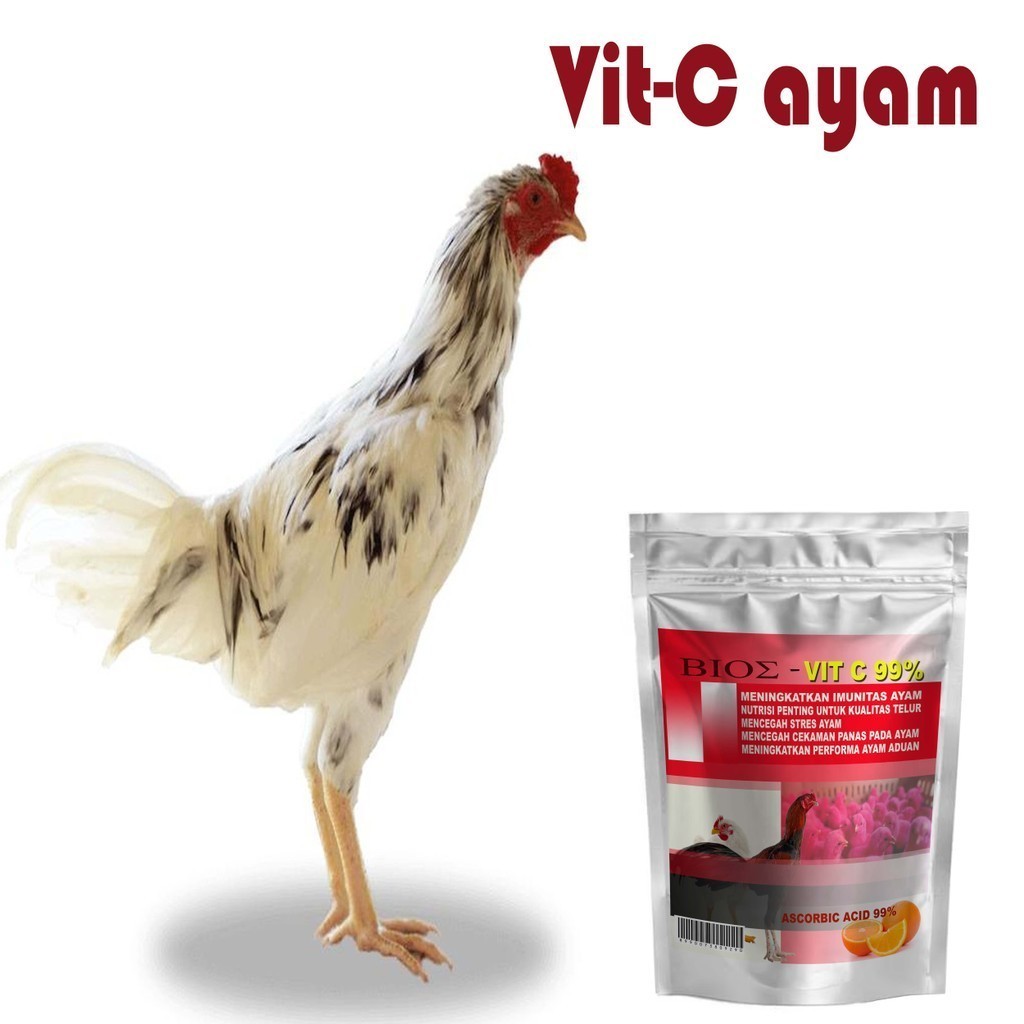Vitamin Ayam untuk daya tahan tubuh dan stress ayam. vit c ayam 9D321