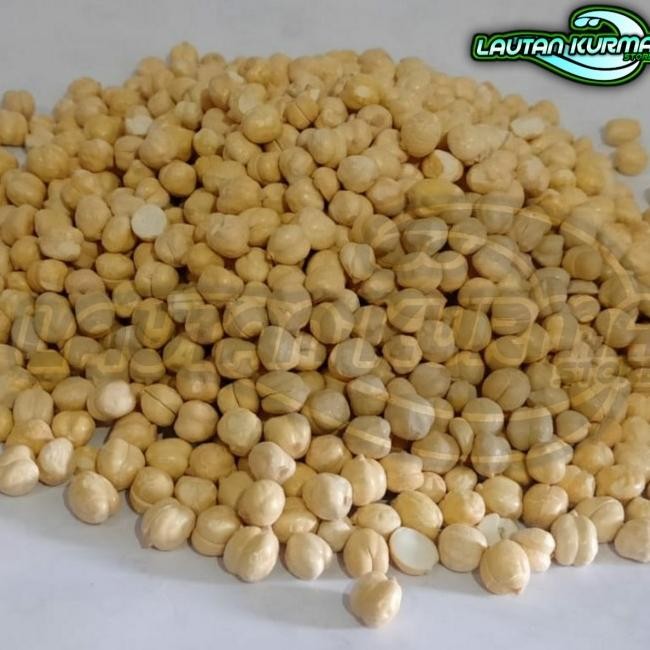 

Kacang Arab 1Kg/Kacang Kumus/Kacang
