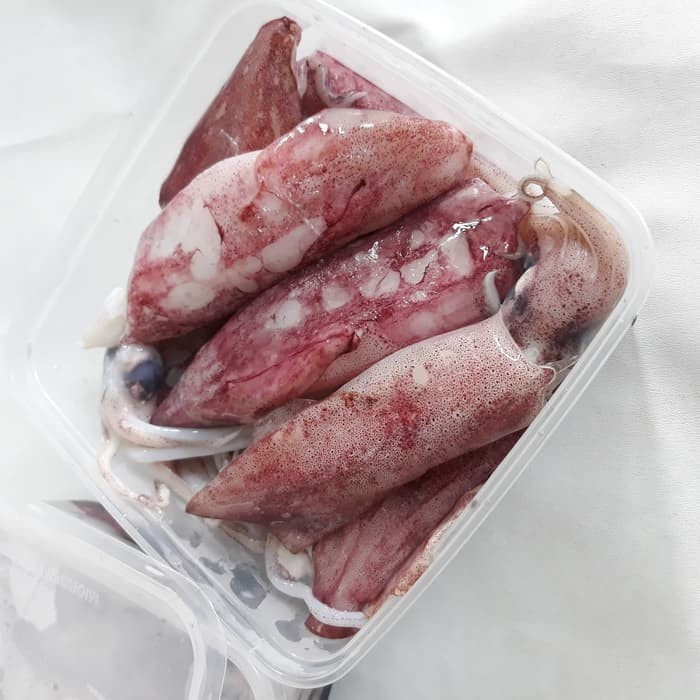 

Cumi 1Kg 4-6 Ekor / Cumi Bangka Segar - Fresh Bangka Squid/ Cumi Fresh