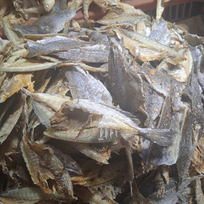 

Ikan Sampah Kopek Medan Tanjung Balai 500Gram