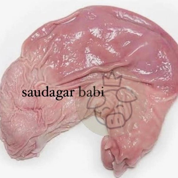 

Tito Babi / Perut Babi / Cutu / Lambung Babi