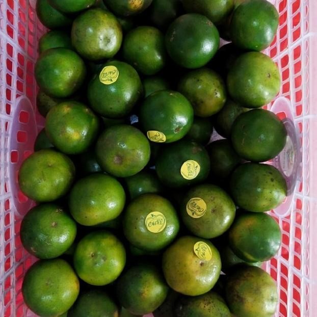 Jeruk Peras Pontianak | Yang Meliki Rasa 80% Manis 20% Asam ( 5Kg )