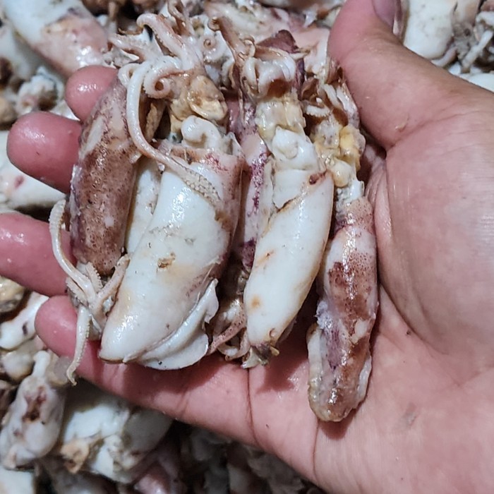 

Ikan Asin Cumi Bule Bk Spr 10Kg/10.000Gram/1 Dus Diskon