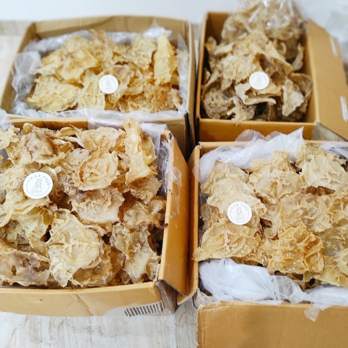 

Fish Mawl/Hipio/Perut Ikan/Gelembus Ikan Mayong Kualitas Grade A Super Terlaris