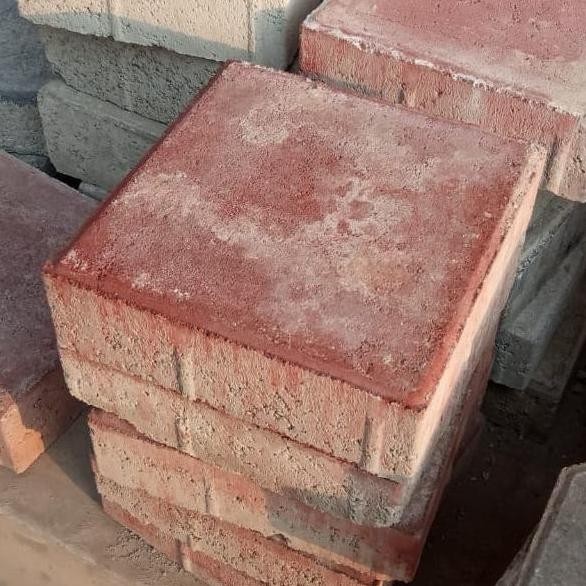 TERLARIS paving block kotak ubin 21 x 21 cm press mesin hidrolik k250 up merah MS54