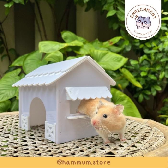 Rumah Akrilik Hamster Syrian A51 | Hideout Terowongan Hamster Besar | Maze Terowongan Kandang Hamste