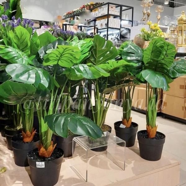 Tanaman Monstera Artificial Latex Informa Tanaman Hias Plus Pot