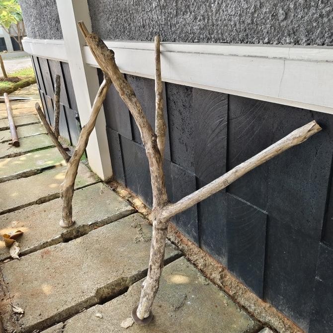 

BATANG KAYU KOPI ANGGREK