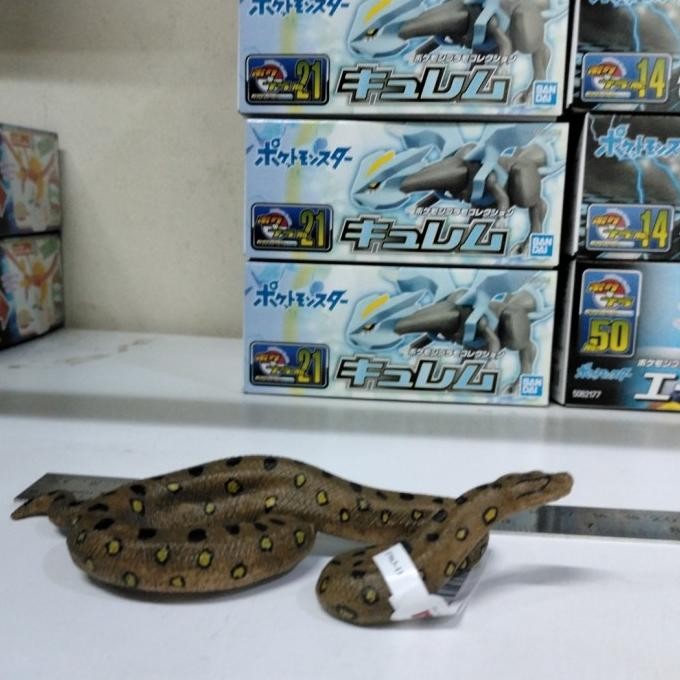 

MOJO ANACONDA NEW 81007