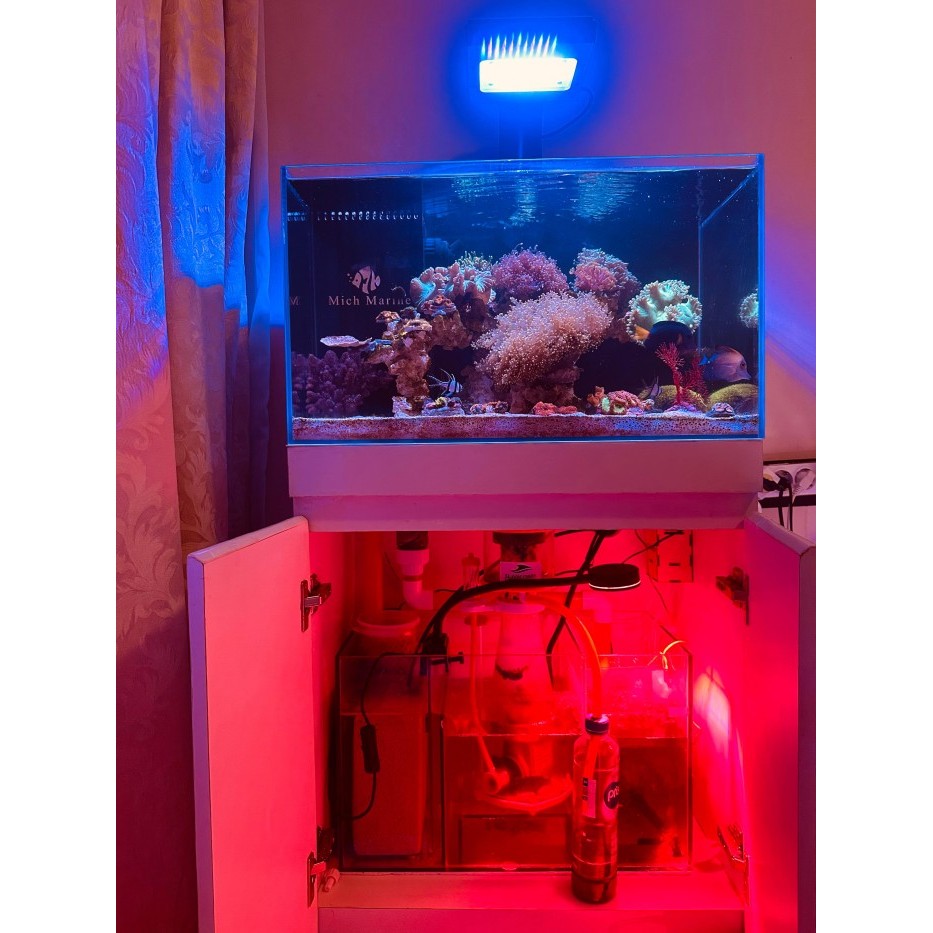 KK Koleksiii! Akuarium Laut / Reef Tank Set 60cm Optic Clear