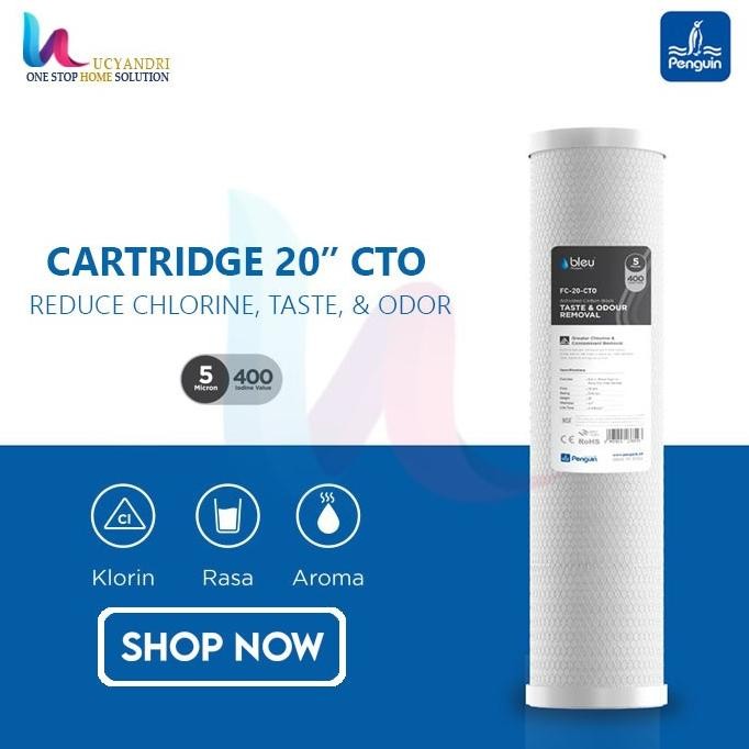 Cartridge Saringan Air / Filter Air Penguin CTO CARBON 20" PREMIUM [terbaik]