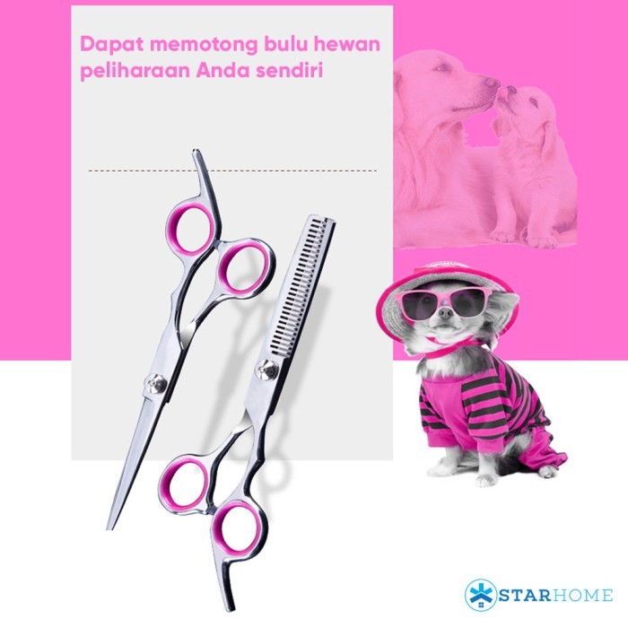 TERBARU Grooming Gunting Hewan Proffesional Gunting Bulu Rambut Kucing Anjing