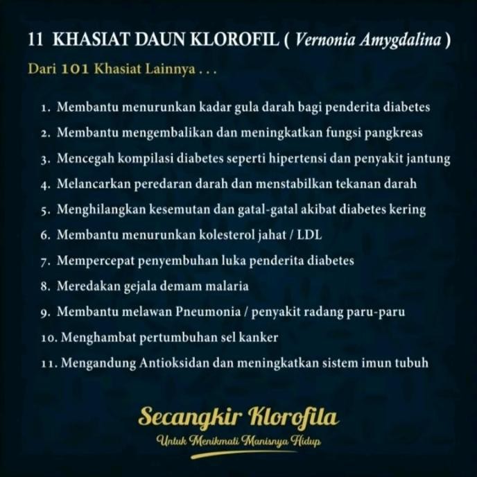 

Teh Herbal Diabetes Klorofila - Membantu Menyembuhkan Diabetes CM