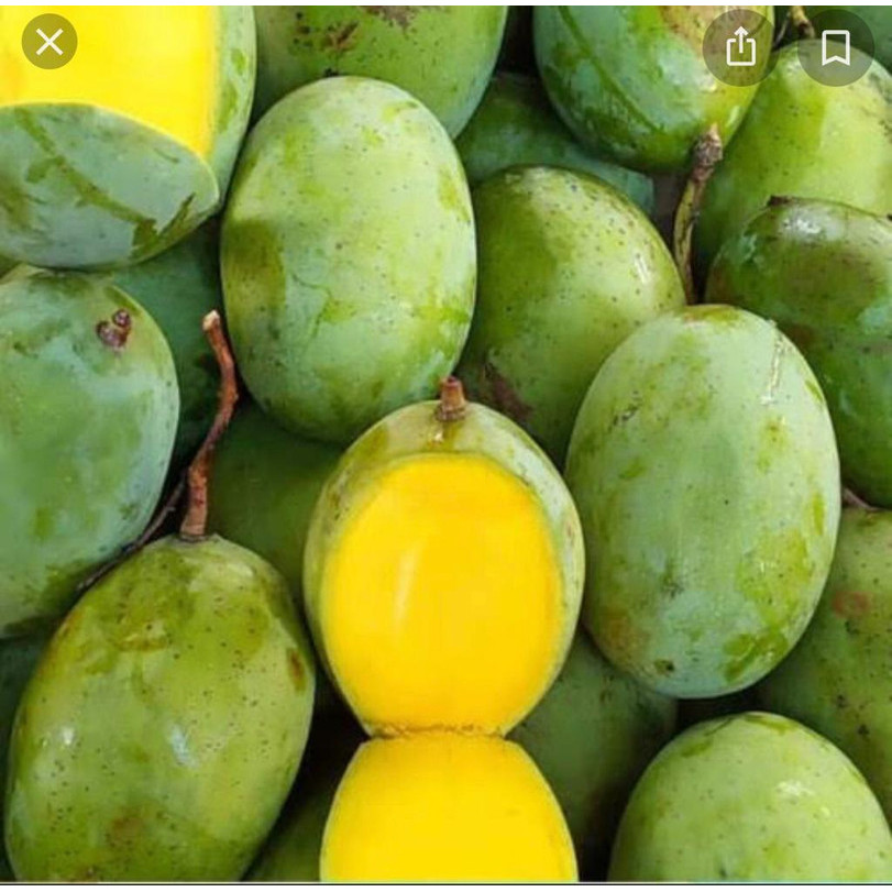 

Mangga kweni 1 kg